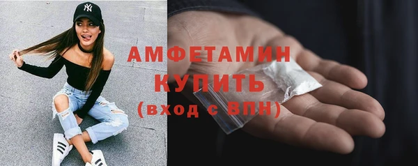 гашик Осинники